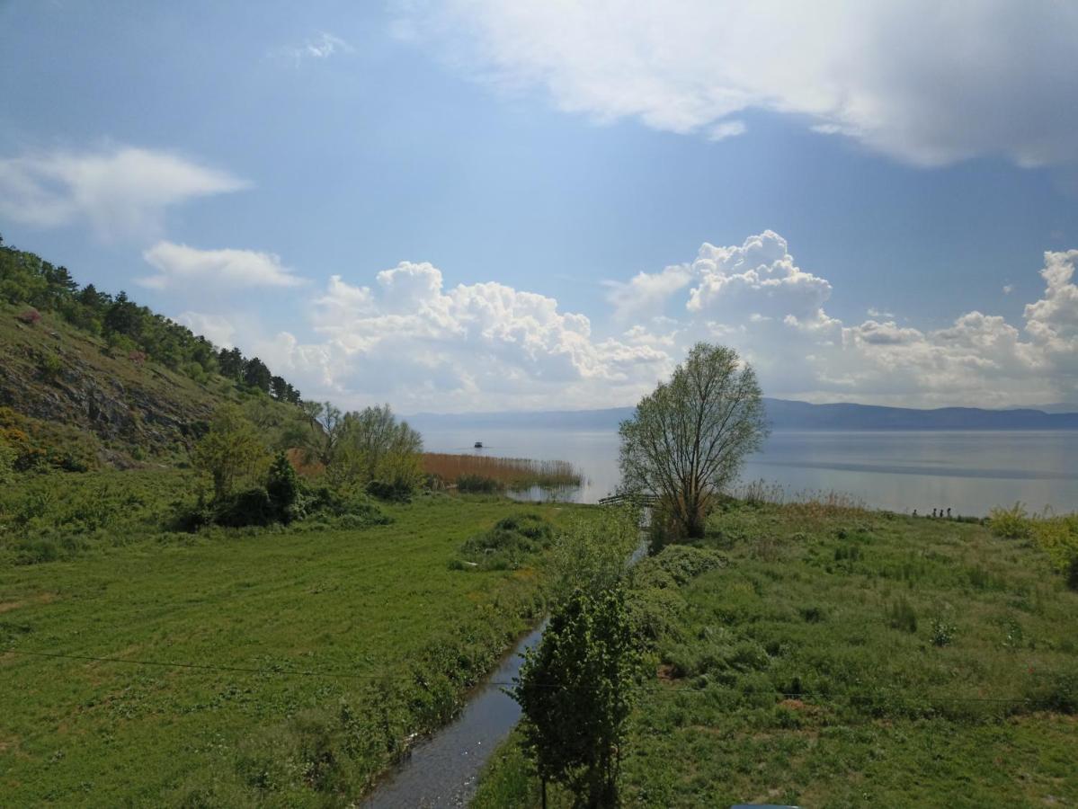 Vila Sara Охрид Экстерьер фото